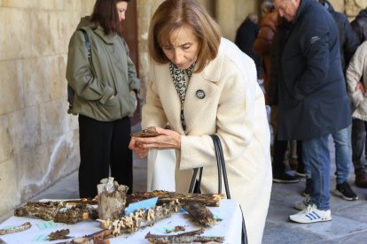La exposición micológica contó con 189 especies y numerosas visitas.