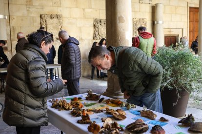 La exposición micológica contó con 189 especies y numerosas visitas.