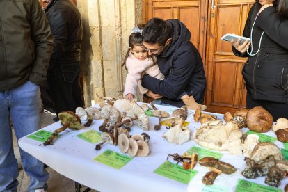 La exposición micológica contó con 189 especies y numerosas visitas.
