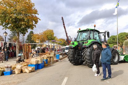 Feria de San Martín en Mansilla de las Mulas.
