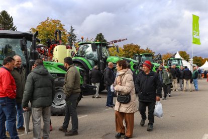 Feria de San Martín en Mansilla de las Mulas.