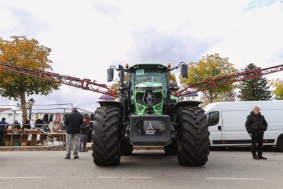 Feria de San Martín en Mansilla de las Mulas.