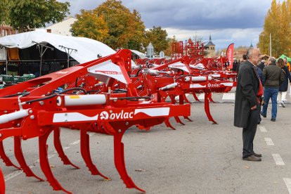 Feria de San Martín en Mansilla de las Mulas.