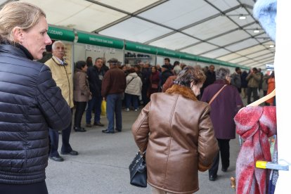 Feria de San Martín en Mansilla de las Mulas.