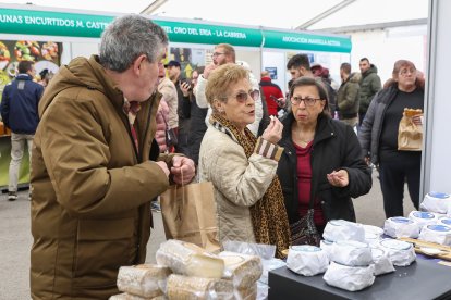 Feria de San Martín en Mansilla de las Mulas.