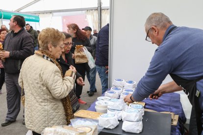 Feria de San Martín en Mansilla de las Mulas.