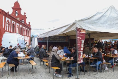 Feria de San Martín en Mansilla de las Mulas.