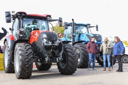 Feria de San Martín en Mansilla de las Mulas.