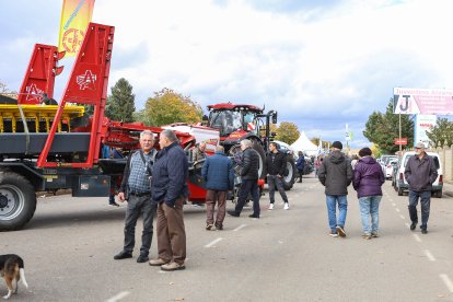 Feria de San Martín en Mansilla de las Mulas.