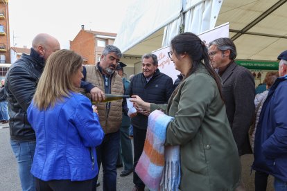 Feria de San Martín en Mansilla de las Mulas.