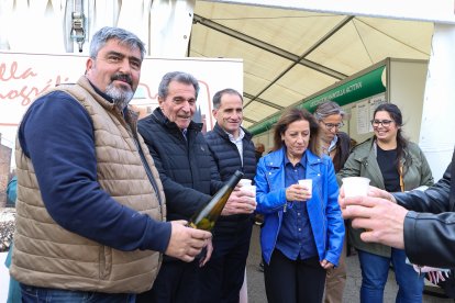 Feria de San Martín en Mansilla de las Mulas.