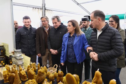 Feria de San Martín en Mansilla de las Mulas.