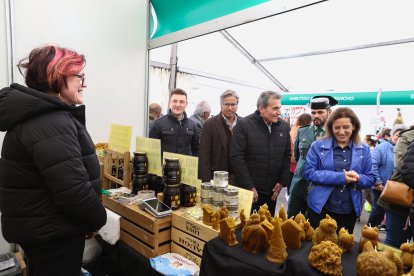 Feria de San Martín en Mansilla de las Mulas.