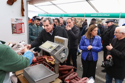Feria de San Martín en Mansilla de las Mulas.
