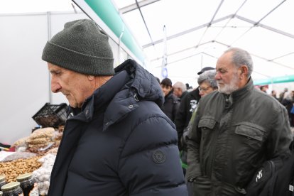 Feria de San Martín en Mansilla de las Mulas.