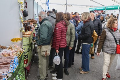 Feria de San Martín en Mansilla de las Mulas.
