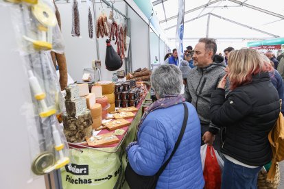 Feria de San Martín en Mansilla de las Mulas.