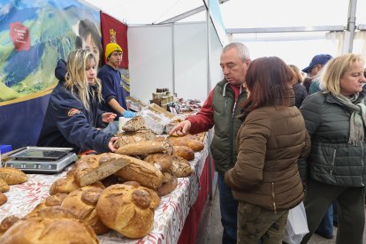 Feria de San Martín en Mansilla de las Mulas.