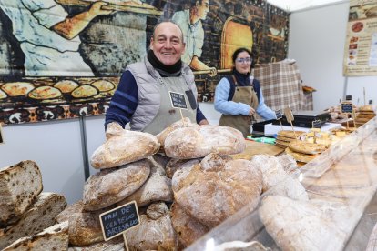 Feria de San Martín en Mansilla de las Mulas.