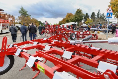 Feria de San Martín en Mansilla de las Mulas.