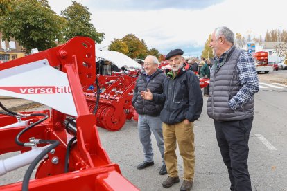 Feria de San Martín en Mansilla de las Mulas.