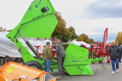 Feria de San Martín en Mansilla de las Mulas.