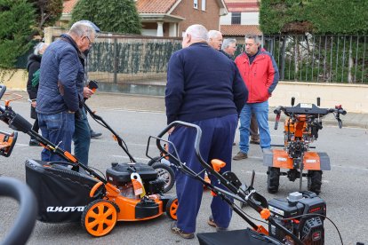 Feria de San Martín en Mansilla de las Mulas.