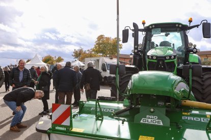 Feria de San Martín en Mansilla de las Mulas.