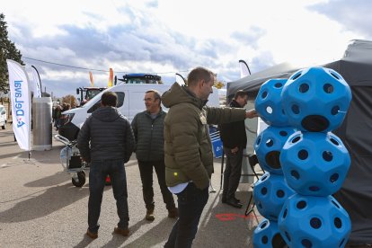 Feria de San Martín en Mansilla de las Mulas.