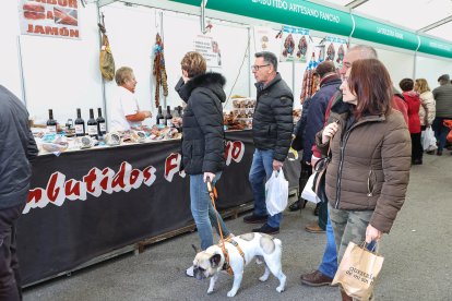 Feria de San Martín en Mansilla de las Mulas.
