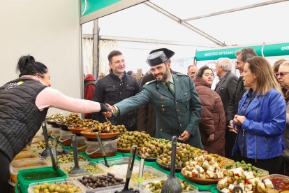 Feria de San Martín en Mansilla de las Mulas.