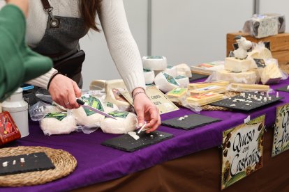 Feria de San Martín en Mansilla de las Mulas.