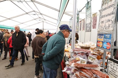 Feria de San Martín en Mansilla de las Mulas.