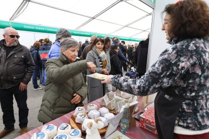 Feria de San Martín en Mansilla de las Mulas.