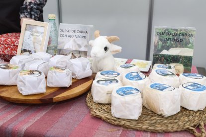 Feria de San Martín en Mansilla de las Mulas.