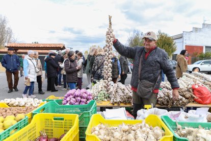 Feria de San Martín en Mansilla de las Mulas.