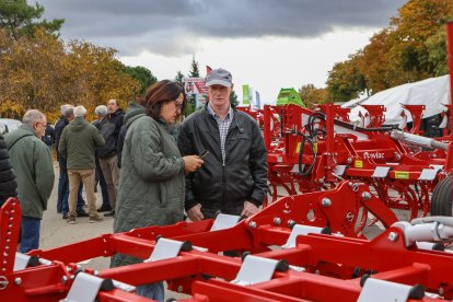 Feria de San Martín en Mansilla de las Mulas.