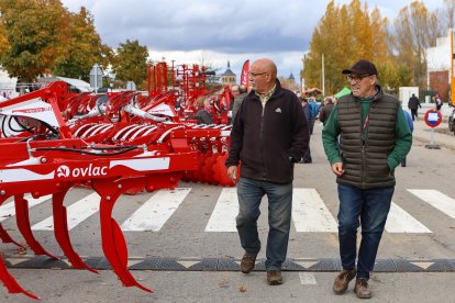 Feria de San Martín en Mansilla de las Mulas.