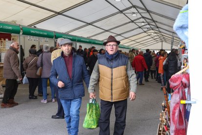 Feria de San Martín en Mansilla de las Mulas.