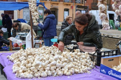 Feria de San Martín en Mansilla de las Mulas.