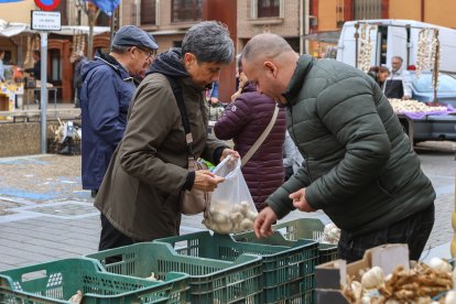 Feria de San Martín en Mansilla de las Mulas.