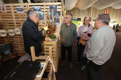 Feria de la Castaña en Carracedelo