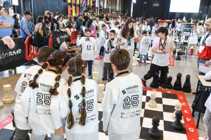 El Palacio de Exposiciones de León acoge la gran final de Pequeños Gigantes, que citará a 300 escolares.