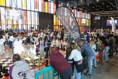 El Palacio de Exposiciones de León acoge la gran final de Pequeños Gigantes, que citará a 300 escolares.