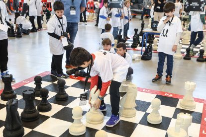 El Palacio de Exposiciones de León acoge la gran final de Pequeños Gigantes, que citará a 300 escolares.