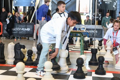 El Palacio de Exposiciones de León acoge la gran final de Pequeños Gigantes, que citará a 300 escolares.