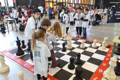 El Palacio de Exposiciones de León acoge la gran final de Pequeños Gigantes, que citará a 300 escolares.
