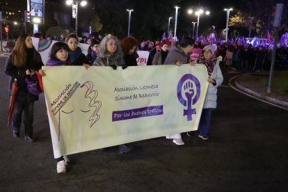 Manifestación por el 25-N en León.