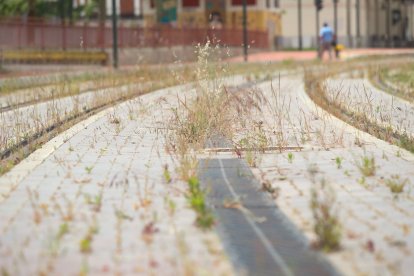 Dejadez y abandono de la línea de Ancho Métrico en León.