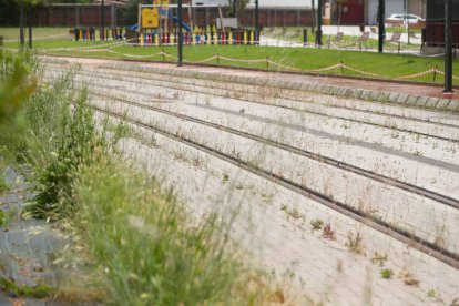 Dejadez y abandono de la línea de Ancho Métrico en León.